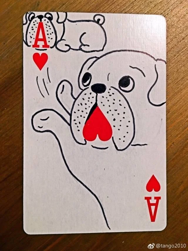 pg娱乐城棋牌游戏大厅
